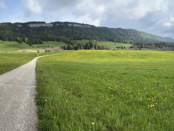 23-05-21 16-52-18 5534